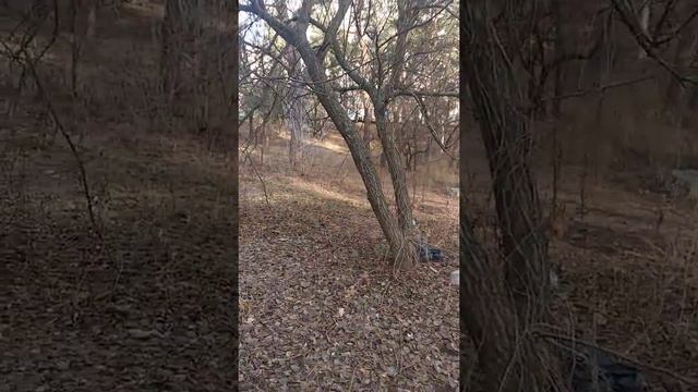 Природные материалы на декор.