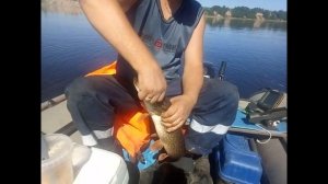 Рыбалка 17 18 июня тролинг река Северная Двина