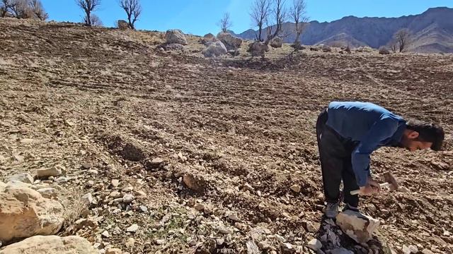 Rural Life🏕🌳The Perren Family Has Decided To Build A Greenhouse🍀🍀🌿🌻