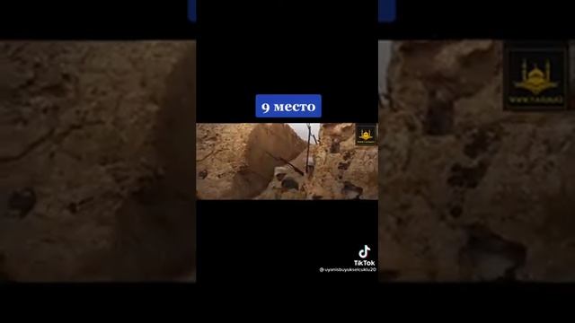 имам Шамиль смотреть онлайн