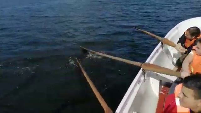 День города у морских кадет 2019 смотреть онлайн