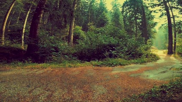 Искусство Созидания