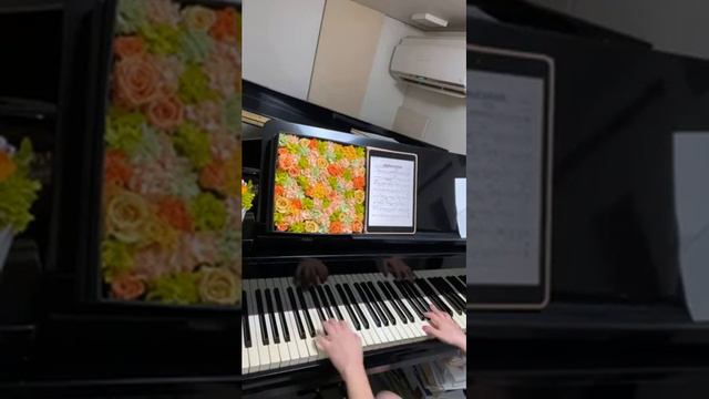 The Beatles「In my life 、Golden slumbers、Imagine」on piano ビートルズの曲をピアノで弾きました。 смотреть онлайн