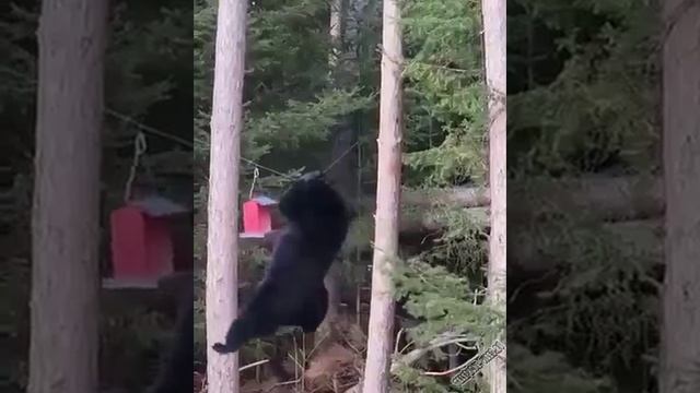 так что там ребятам на фронт я там уже был и знаю каково это 2202 2003 4591 2586 сбер смотреть онлайн