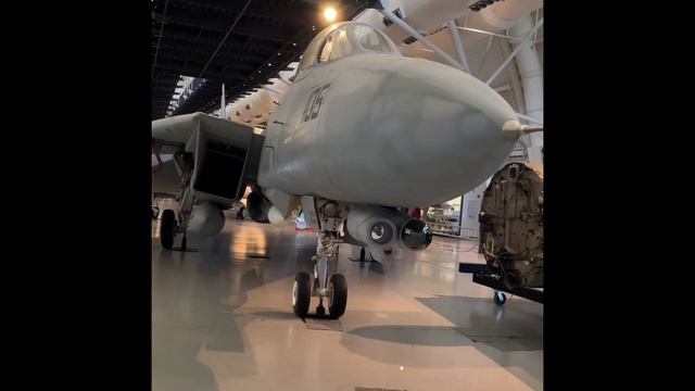 Grumman F-14 Tomcat MIG killer смотреть онлайн