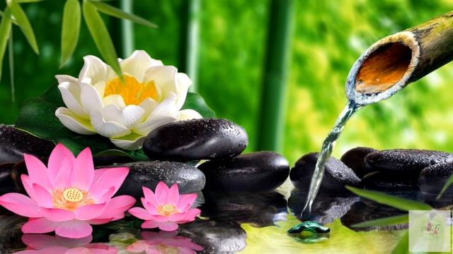 Музыка для медитации/Music for meditation/ موسيقى للتأمل/для йоги/релакс /Relaxation /фоновая музык смотреть онлайн