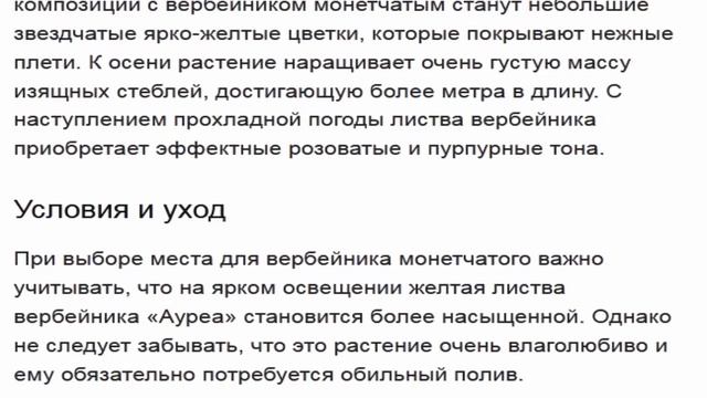 Вербейник монетчатый (Lysimachia nummularia ) луговой чай смотреть онлайн