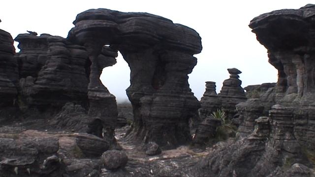 Join Redfern Adventures' Lost World of Mount Roraima Expedition смотреть онлайн