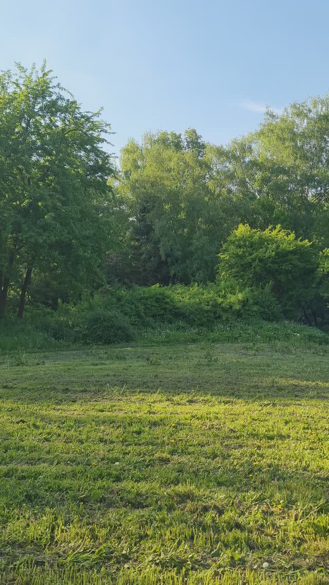 Пейзаж 24.05.2024 г.