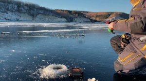 Судак. Зимняя рыбалка в Камском Устье