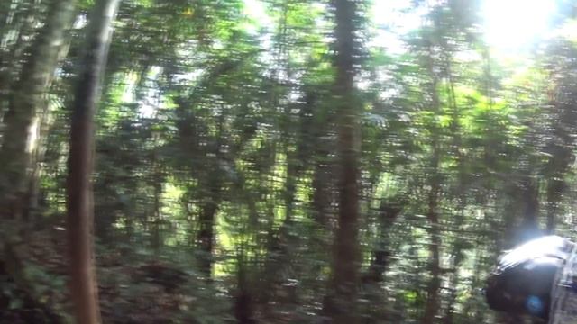 Без лежаков. 6 часть. Окрестности Убуда. смотреть онлайн