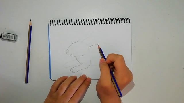 How To Draw Rabbit / Kolay Tavşan Çizimi смотреть онлайн
