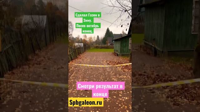ПОДГОТОВКА УЧАСТКА ПОД ГАЗОН. #стройка #участок #благоустройство #дача #газон #shorts #дом #дренаж смотреть онлайн