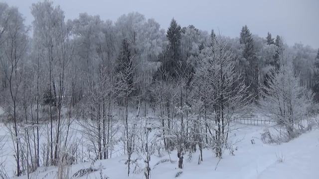 Зимняя сказка. ОТВЕЧАЮ НА ВОПРОСЫ. Про ГАЗ И ДРОВА. БЕСЕДКА .ТОМ и МАНЯ смотреть онлайн