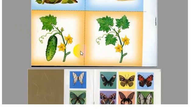 Урок виртуального детского сада. Месяцы, дни недели, сезоны, окружающий мир смотреть онлайн