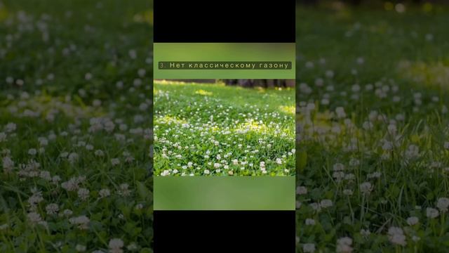 #сад #ландшафт #природа #искусство #алтай #АГУ смотреть онлайн