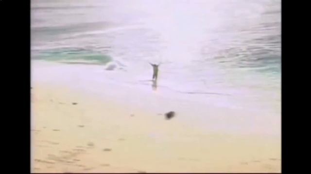 Памяти Владислава Галкина ? смотреть онлайн