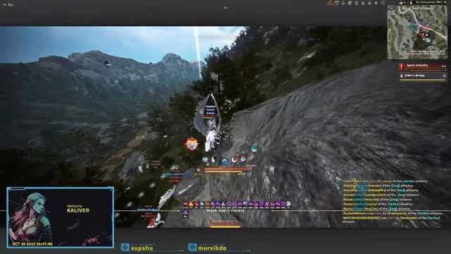 2v2 Elder's Bridge | Nodewar | NA Black Desert смотреть онлайн