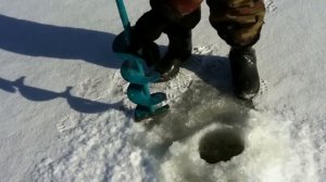 Рыбалка на льду Калининградского залива