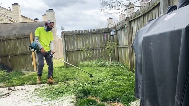 Overgrown Townhouse Backyard?