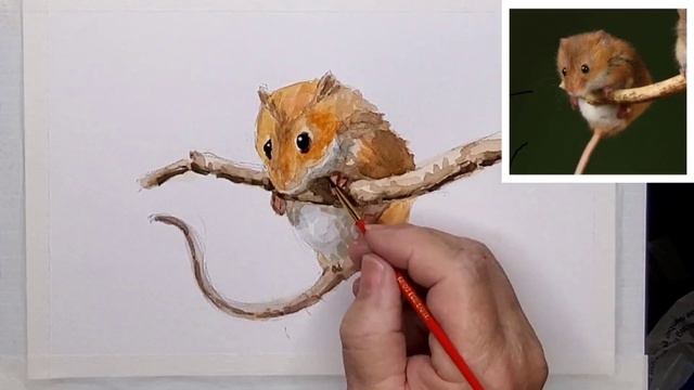 200a Harvest Mouse смотреть онлайн