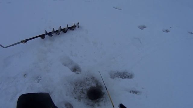 Зимняя рыбалка на Ладоге. Окунь. Кобона. смотреть онлайн