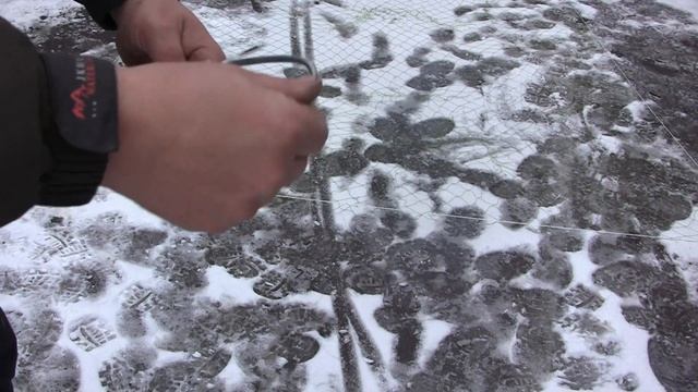 Лучшая ловушка для птиц /// Очень легко сделать // А работает отлично смотреть онлайн