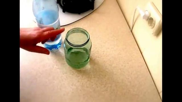 Размножение смородины. Часть 1.Укоренение смородины в воде смотреть онлайн