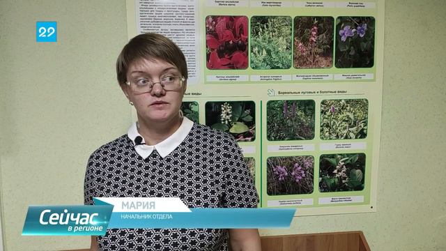 19.10.2021 На пинежье появилась экотропа смотреть онлайн