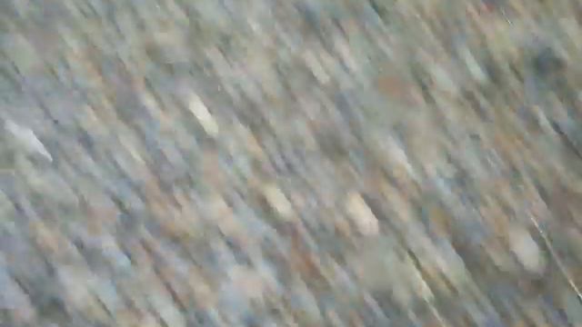 На природе можно найти все, что угодно! смотреть онлайн