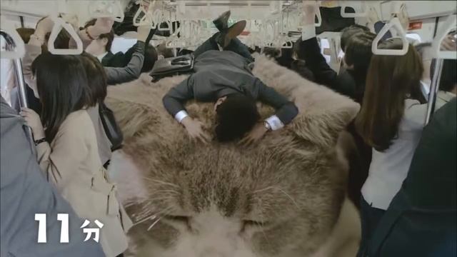 Японская реклама жевательной резинки. смотреть онлайн