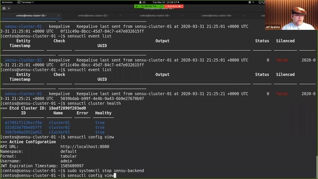 [Webinar] Scaling your monitoring, part 1: Sensu clustering смотреть онлайн