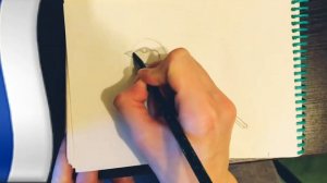 Птичка/Синица карандашом/рисую для души