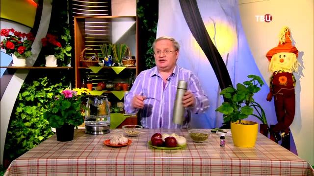 123 Герань на окошке – здоровье в ладошке!