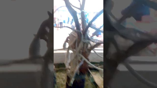 "Яхонты"Таруса. смотреть онлайн