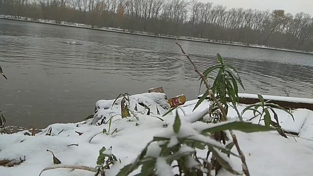 Начало зимнего сезона. ШКОЛА ЗАКАЛИВАНИЯ. Авторский проект Натальи Серой смотреть онлайн