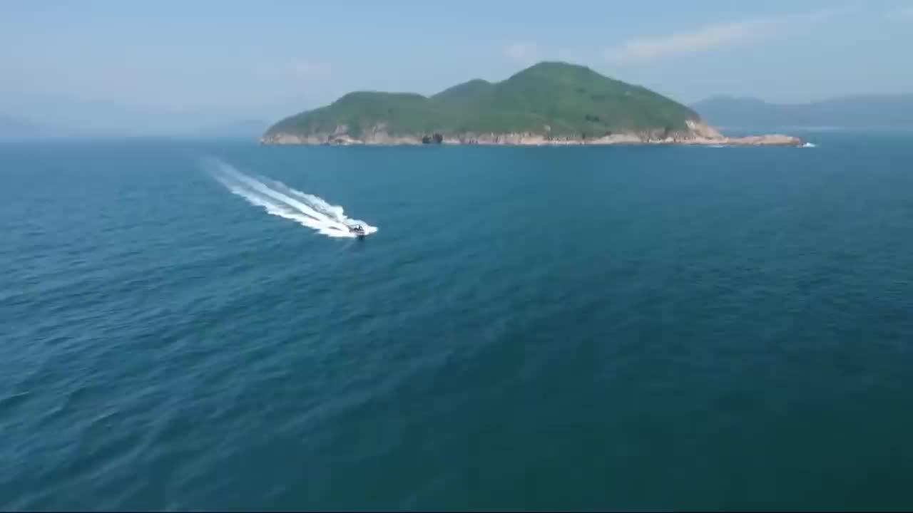 Vintage Reggae Café 2020