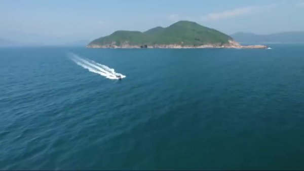 Vintage Reggae Café 2020