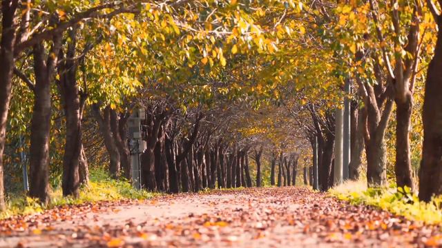 #18. Music for study. Studying. Study music смотреть онлайн
