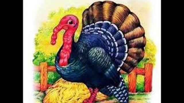 "О чем Индюк думал" Борис Заходер смотреть онлайн