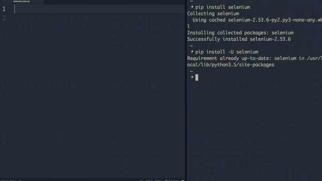 How to Install Selenium WebDriver with Python смотреть онлайн