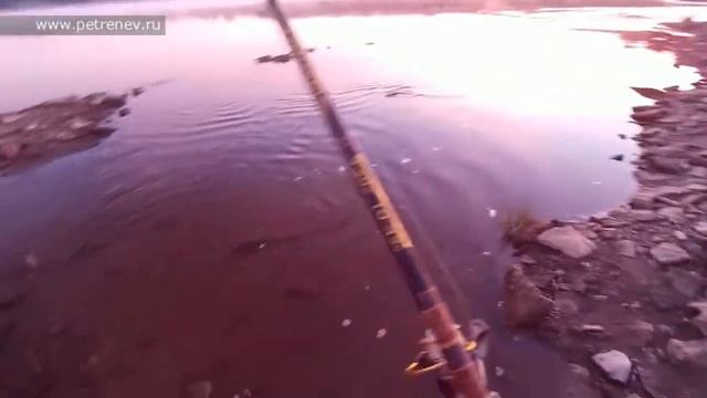 Жерех на бомбарду (сбирулино) смотреть онлайн