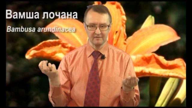 Новое о Ситопалади