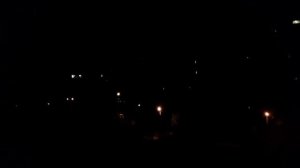 О чем поет ночная птица. Или какая птица кричит по ночам (ответ в описании ?).