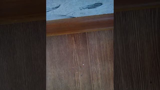 Как сделать сюрюкен из диска и ножниц и маркера смотреть онлайн