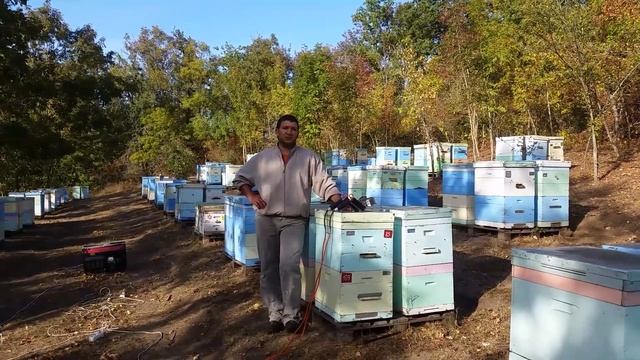 ПЧЕЛОВОДСВО 