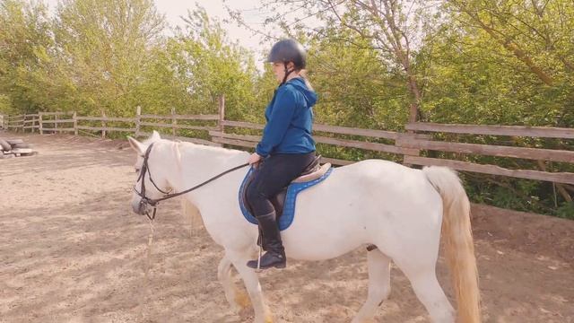 Белгородский пони-клуб | Основы верховой езды | С чего начинается тренировка | Первое занятие смотреть онлайн