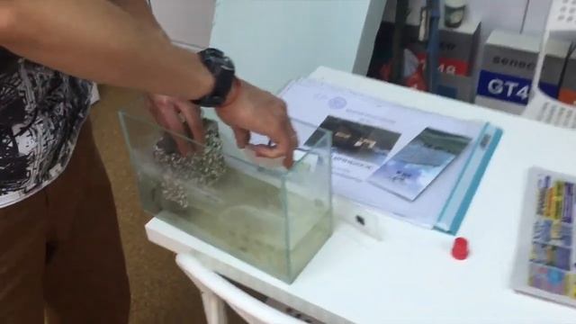 Презентация уникальных свойств Теплокирпича Warm-Stein Www.теплокирпич.рф