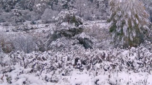 Снег кружится, летает, летает смотреть онлайн