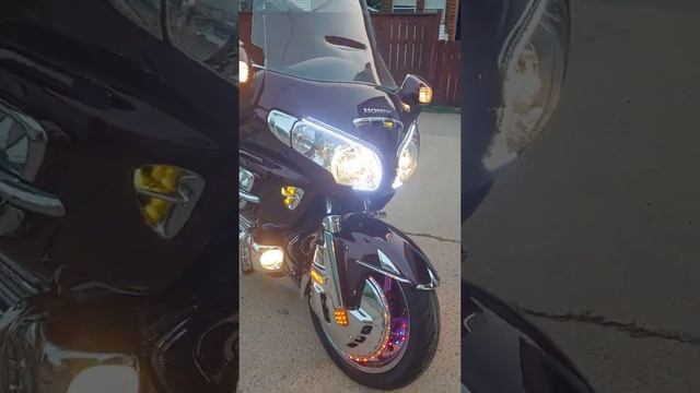 2008 Honda Gold Wing смотреть онлайн